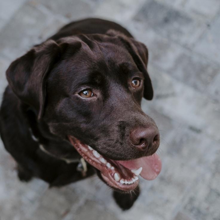 Portrait of Anaya meditation instructor